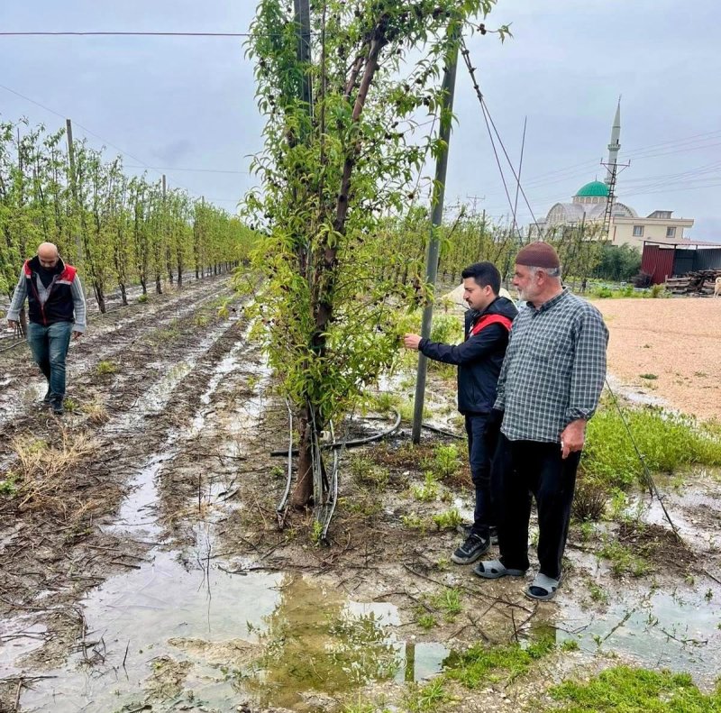 Hatay’da dolu yağışı etkili oldu