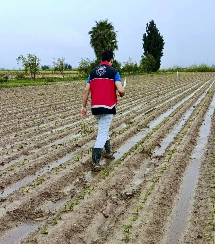 Hatay’da dolu yağışı etkili oldu