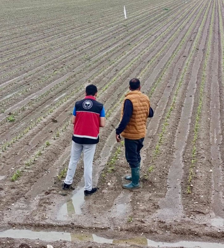 AFETİN ARDINDAN TARIMDA SEFERBERLİK BAŞLATILDI