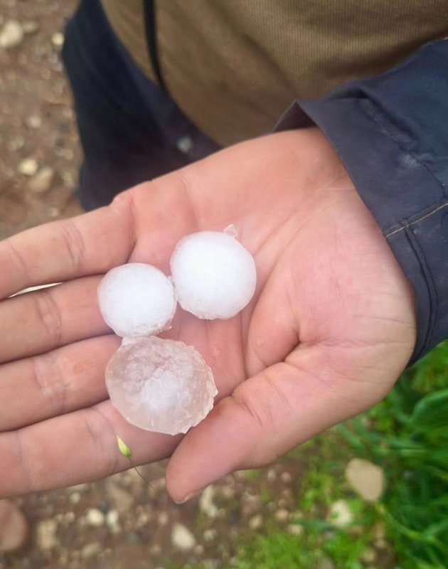 AFETİN ARDINDAN TARIMDA SEFERBERLİK BAŞLATILDI