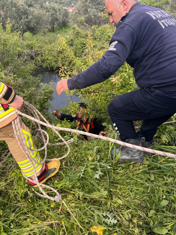 Yayladağı’nda gölete düşen ineği itfaiye kurtardı 
