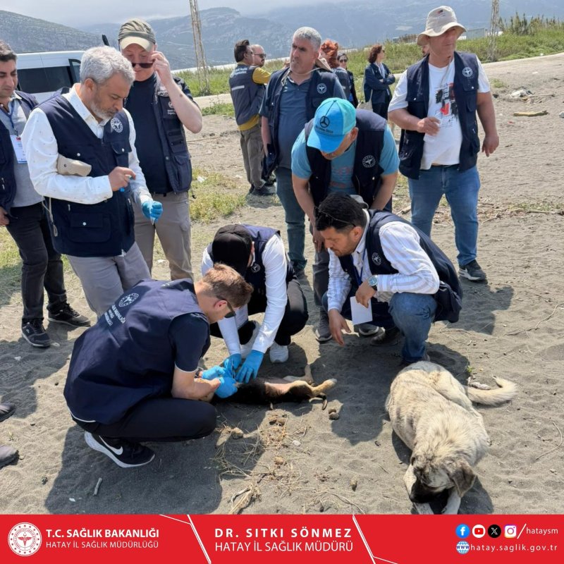 HATAY’DA VEKTÖR SÜRVEYANSI SAHA ÇALIŞMASI BAŞLATILDI