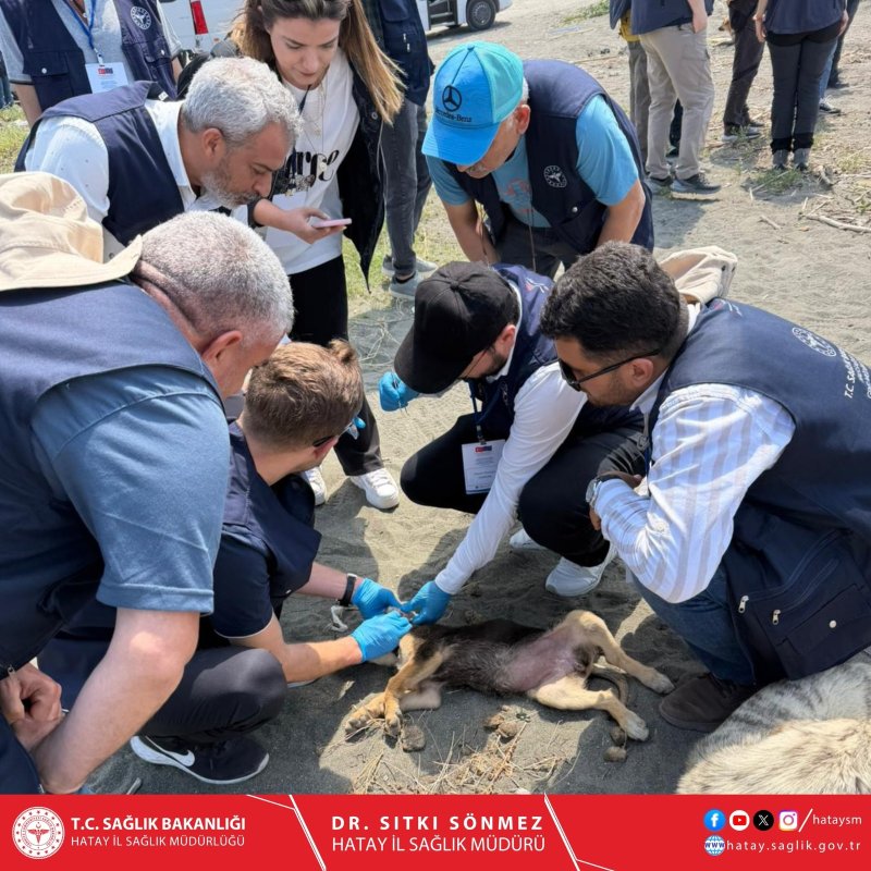 HATAY’DA VEKTÖR SÜRVEYANSI SAHA ÇALIŞMASI BAŞLATILDI