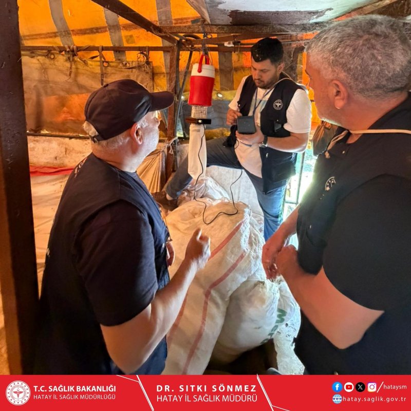 HATAY’DA VEKTÖR SÜRVEYANSI SAHA ÇALIŞMASI BAŞLATILDI