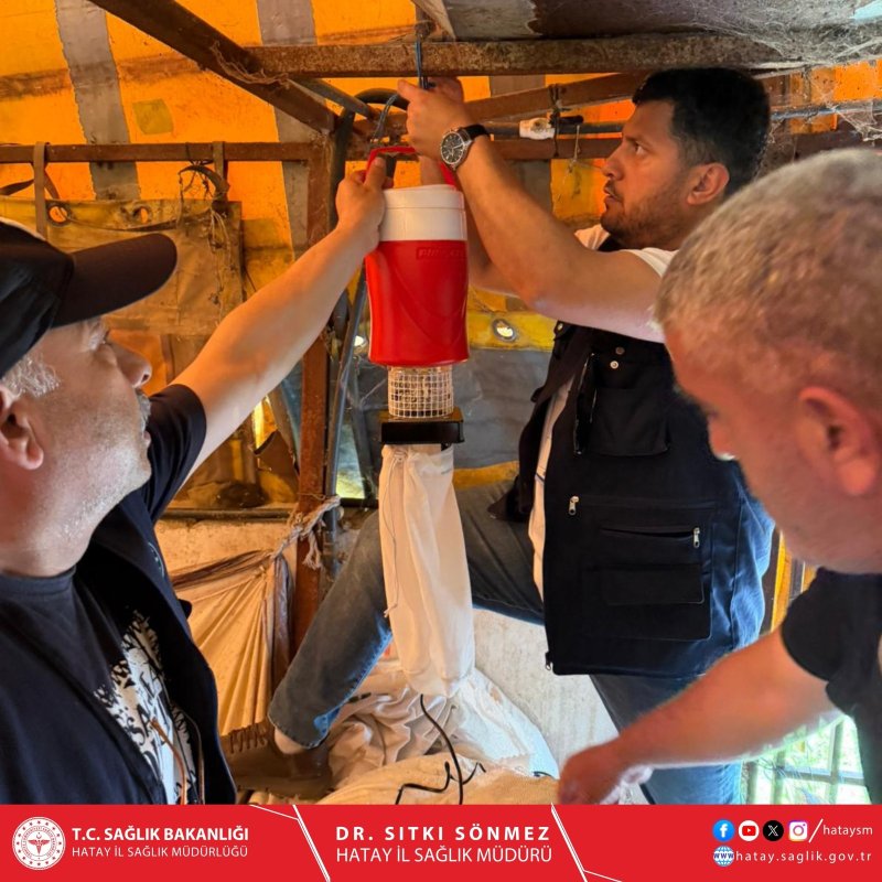 HATAY’DA VEKTÖR SÜRVEYANSI SAHA ÇALIŞMASI BAŞLATILDI