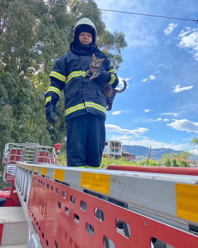 Ağaçta mahsur kalan kediyi itfaiye kurtardı (Fotoğraflı) Yakup Söylemez HATAY (İHA) - Hatay’da ağaçta mahsur kalan kedi itfaiye ekipleri tarafından kurtarıldı. Samandağ ilçesi Mızraklı Mahallesi’nde ağaçta mahsur kalan kediyi fark eden vatandaşlar durumu itfaiye ekiplerine bildirdi. Mahsur kalan kedi, itfaiye ekiplerinin müdahalesiyle sağ salim kurtarıldı. Kurtarılan kedi beslenerek doğal yaşam alanına bırakıldı.