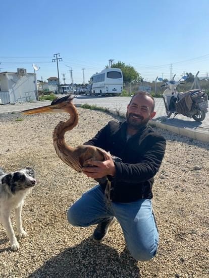 Yol kenarında bulduğu yaralı ergüvani balıkçıl kuşunu yetkililere teslim etti