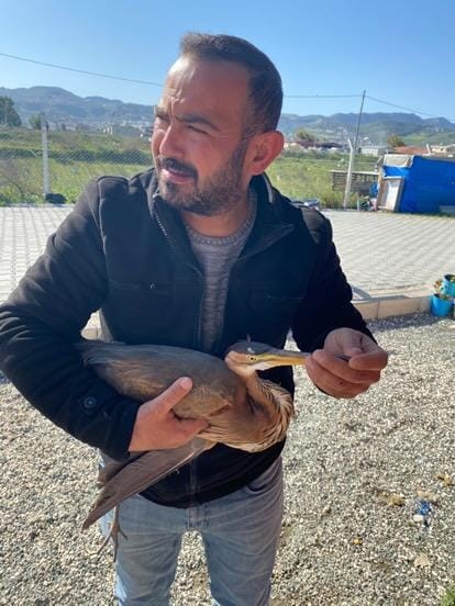 Yol kenarında bulduğu yaralı ergüvani balıkçıl kuşunu yetkililere teslim etti
