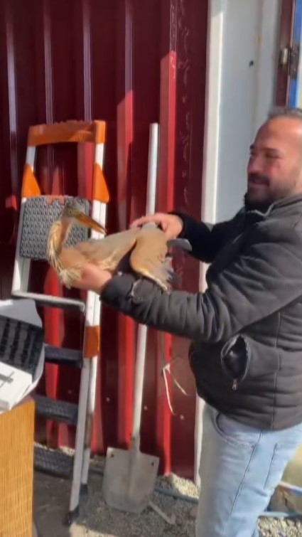 Yol kenarında bulduğu yaralı ergüvani balıkçıl kuşunu yetkililere teslim etti