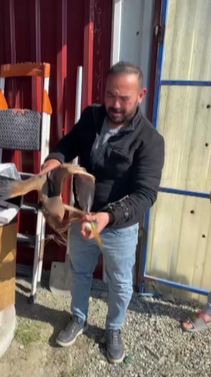 Yol kenarında bulduğu yaralı ergüvani balıkçıl kuşunu yetkililere teslim etti