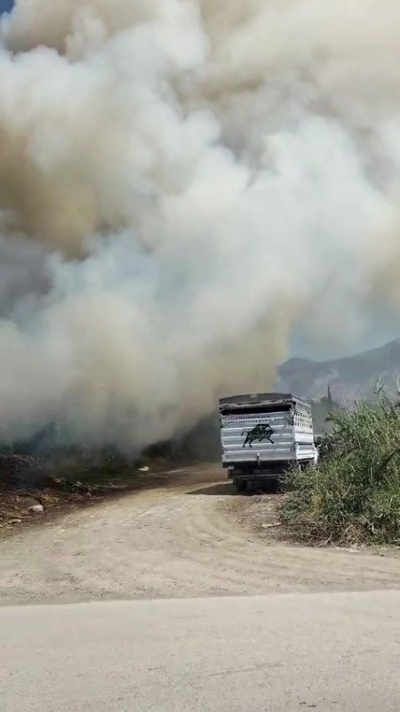 Arsuz'da sazlık yangını