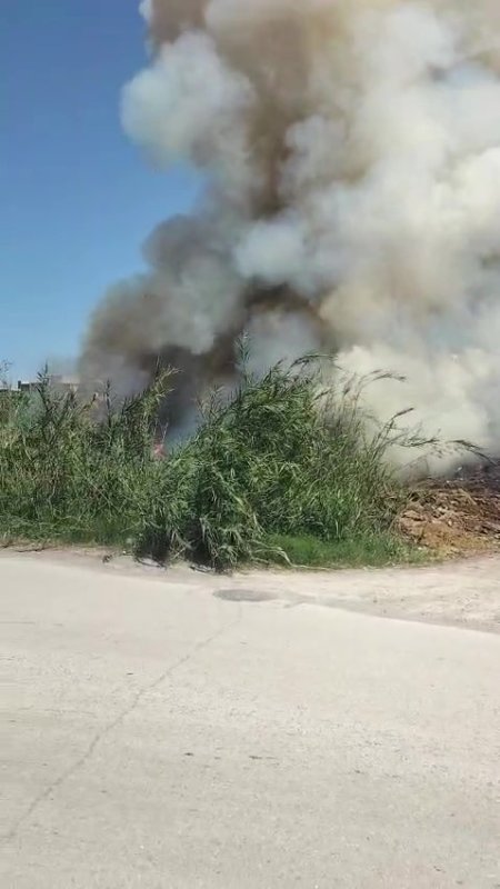 Arsuz'da sazlık yangını