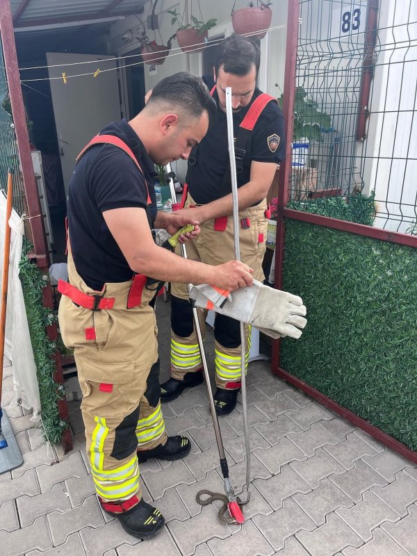 Konteynere giren yılanı itfaiye yakaladı (Fotoğraflı) Mehmet İhsan Çakar HATAY (İHA) - Hatay'da depremzede vatandaşların yaşadığı konteynere giren yılanı itfaiye yakaladı. Antakya ilçesi Güzelburç Mahallesi’nde bulunan Anafartalar geçici yaşam alanında depremzede vatandaşların yaşadığı konteyner içerisinde yılan görüldü. Durum üzerine vatandaşlar, itfaiye ekiplerine ihbarda bulundu. Yılan, ekipler tarafından özel aparat yardımıyla yakalanarak doğal yaşam alanına bırakıldı.