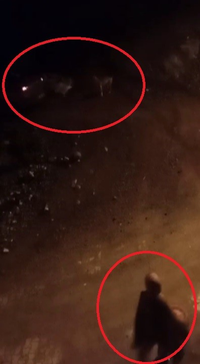 Köpekler arasında yaşanan korkutan boğuşma kamerada