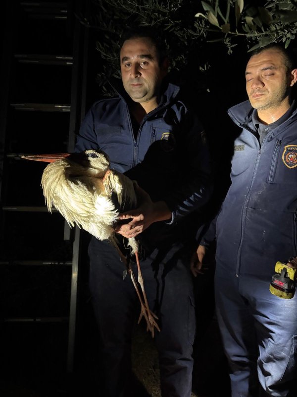 Ayağına misina dolanan leyleğe itfaiyeden hayat kurtaran müdahale