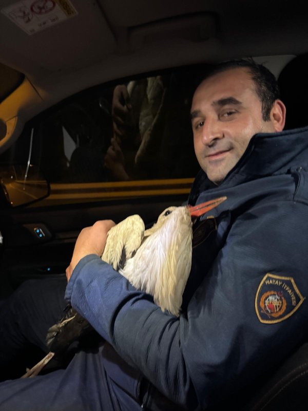 Ayağına misina dolanan leyleğe itfaiyeden hayat kurtaran müdahale