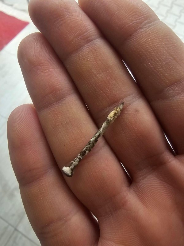 Ekmeğin içinden çıkan çiviyi yutmak üzereyken fark etti