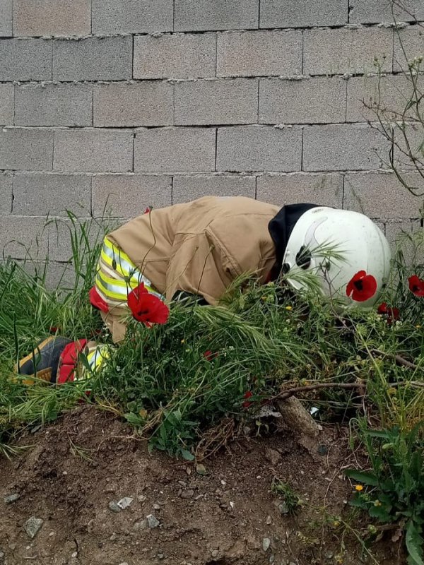 Erzin’de kuyuya düşen köpeği itfaiye kurtardı