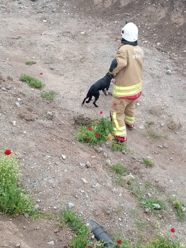 Erzin’de kuyuya düşen köpeği itfaiye kurtardı