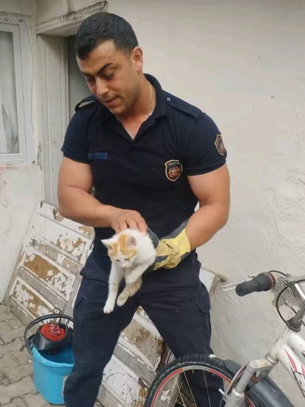 Bisikletin jant teline sıkışan yavru kediyi itfaiye kurtardı