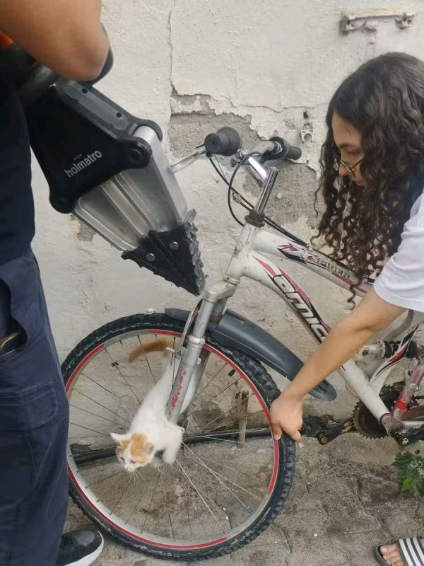 Bisikletin jant teline sıkışan yavru kediyi itfaiye kurtardı