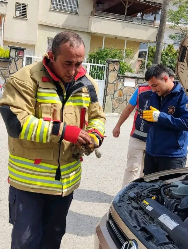 Aracın kaputuna giren yavru kediyi itfaiye kurtardı