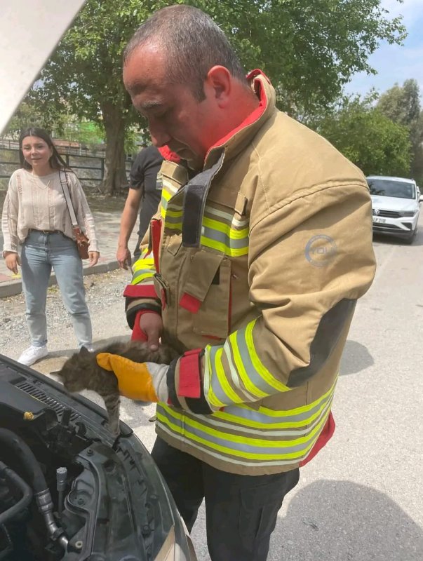 Aracın kaputuna giren yavru kediyi itfaiye kurtardı