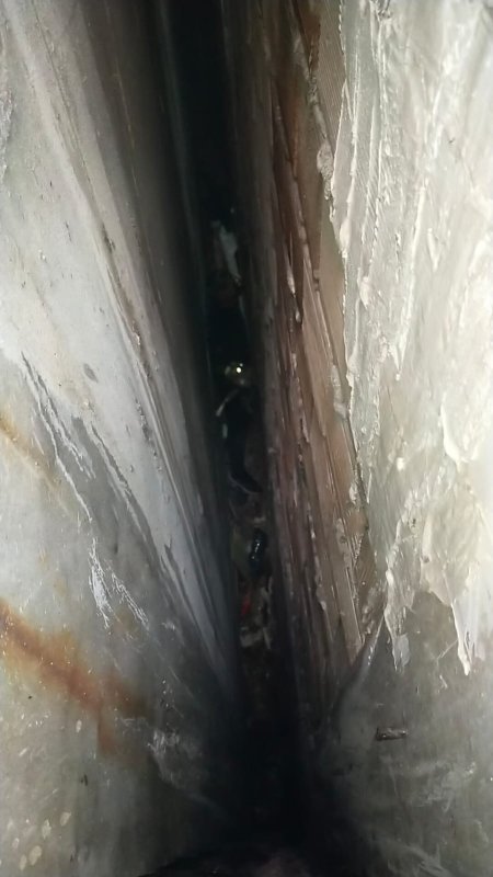 Bina boşluğuna düşen kedi, 7 saatlik operasyonla kurtarıldı