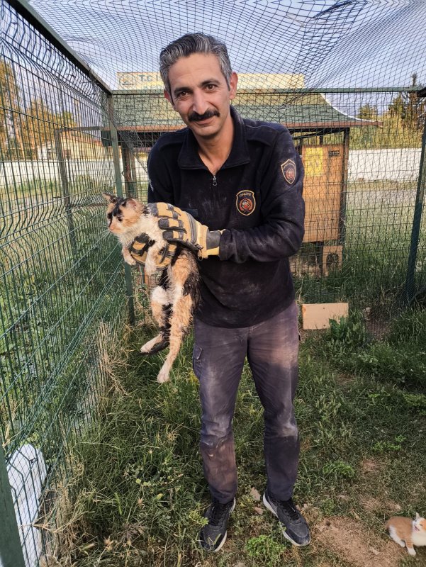 Bina boşluğuna düşen kedi, 7 saatlik operasyonla kurtarıldı