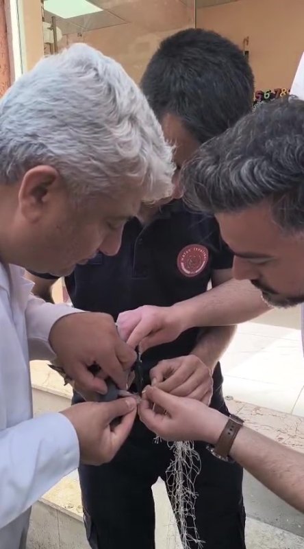 Balkondaki ağda mahsur kalan güvercini itfaiye kurtardı