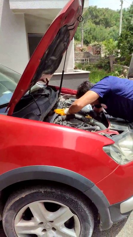 Araç motorundan çıkan sürpriz yüzleri gülümsetti