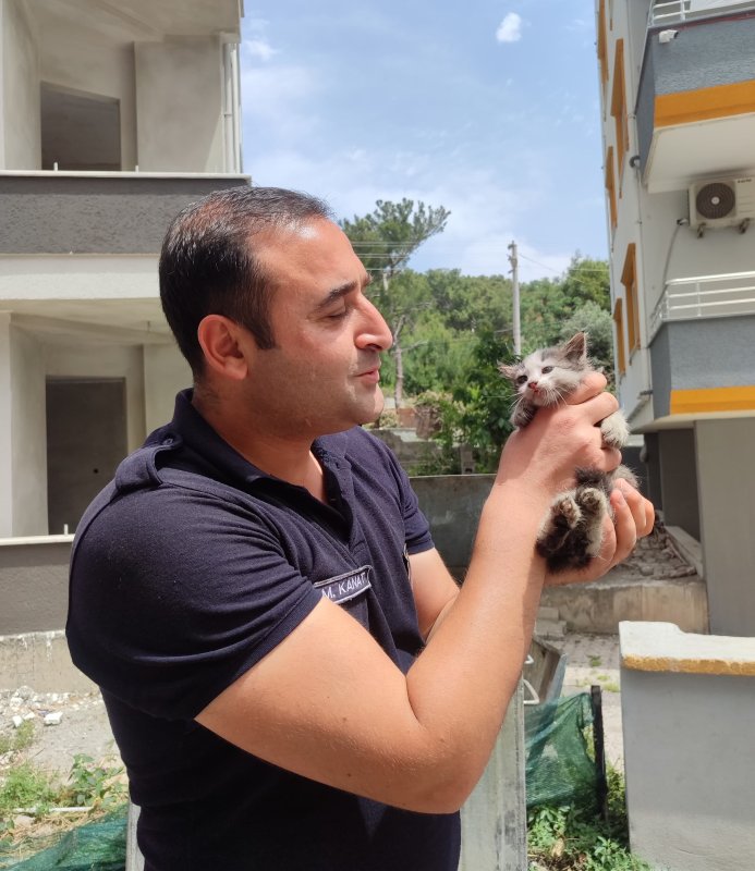 Araç motorundan çıkan sürpriz yüzleri gülümsetti