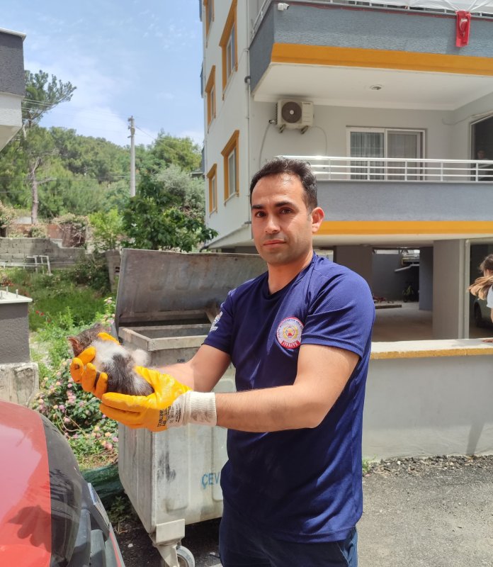 Araç motorundan çıkan sürpriz yüzleri gülümsetti