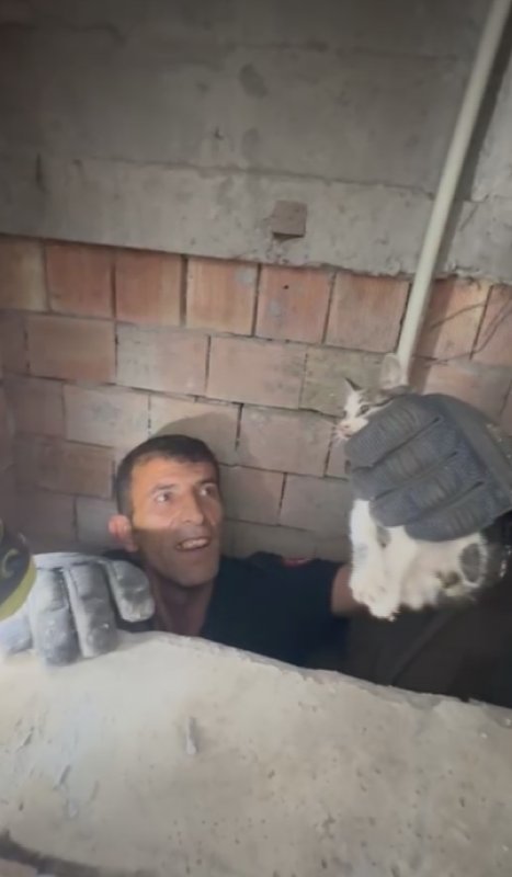 Bina boşluğuna düşen yavru kedi itfaiye ekiplerince kurtarıldı