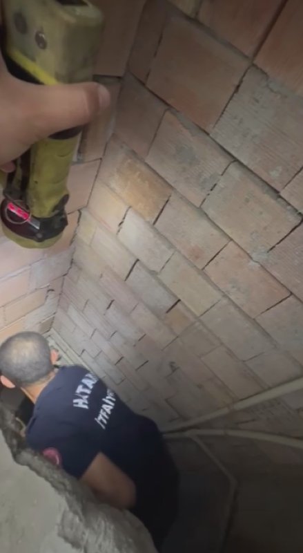 Bina boşluğuna düşen yavru kedi itfaiye ekiplerince kurtarıldı