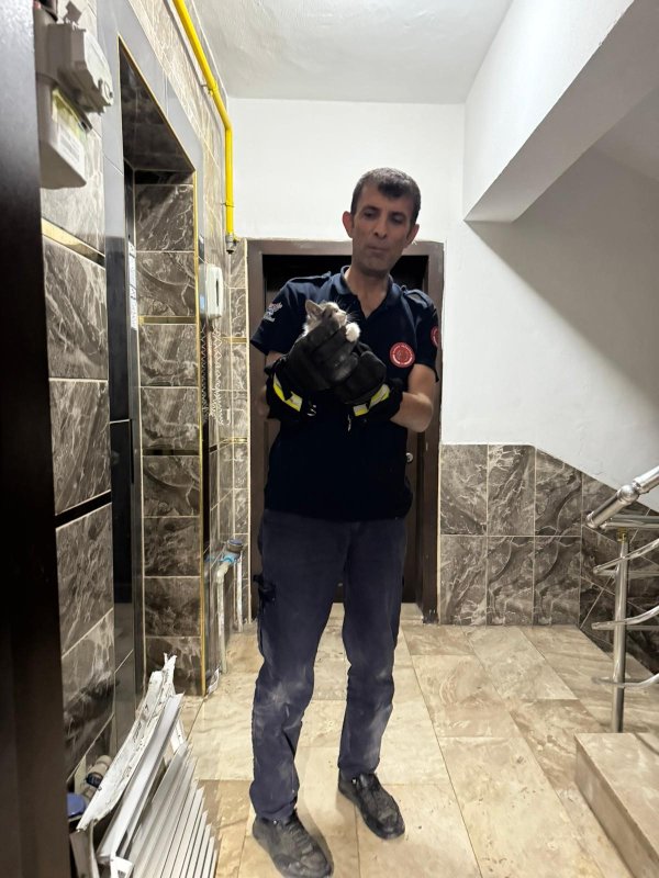 Bina boşluğuna düşen yavru kedi itfaiye ekiplerince kurtarıldı