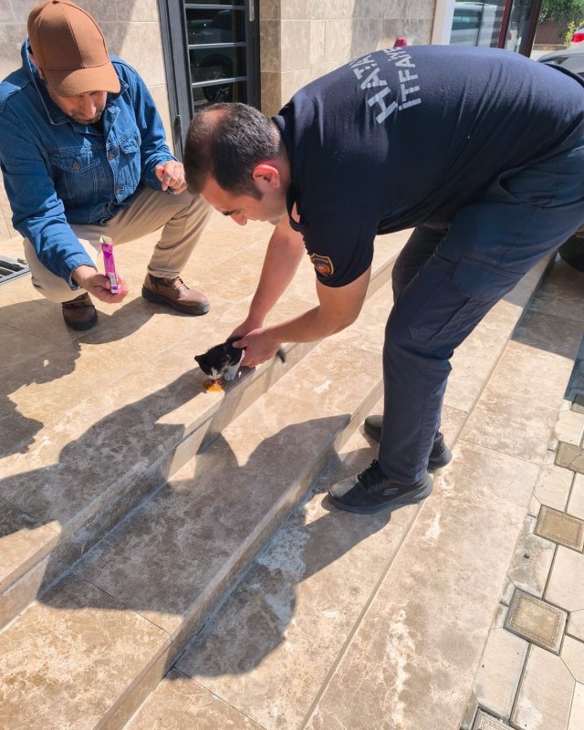Aracın altına sıkışan yavru kediyi itfaiye kurtardı (Fotoğraflı) Ferit Savaş HATAY (İHA) - Hatay'da aracın alt kısmına sıkışan yavru kedi itfaiye ekipleri tarafından kurtarıldı. Arsuz ilçesi Karaağaç Şarkonak Mahallesi’nde bir aracın altına sıkışan yavru kedinin miyavlama sesini fark eden vatandaşlar durumu itfaiye ekiplerine bildirdi. İhbar üzerine bölgeye giden ekipler, yavru kediyi kurtardı. Sağlıklı bir şekilde kurtarılan kedi, beslenerek doğal yaşam alanına bırakıldı.