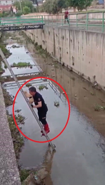 Su kanalında mahsur kalan kedinin yardımına itfaiye ekipleri koştu