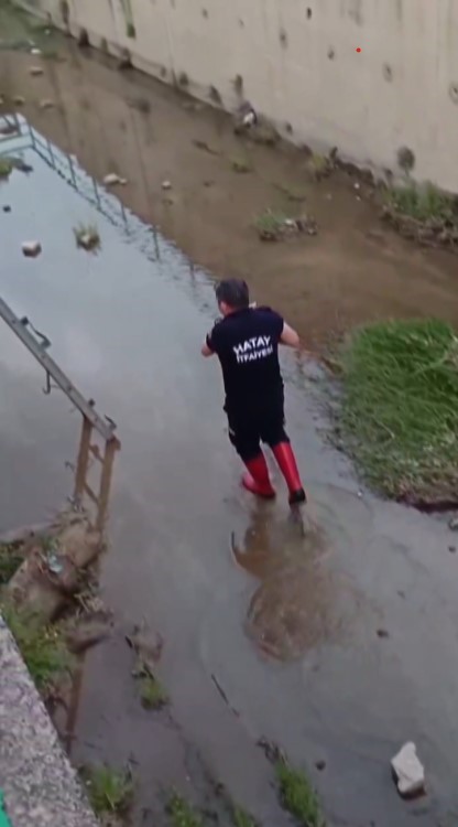 Su kanalında mahsur kalan kedinin yardımına itfaiye ekipleri koştu