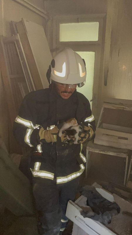 Alevlerin arasında mahsur kalan yavru kedileri miyavlamaları hayata tutundurdu