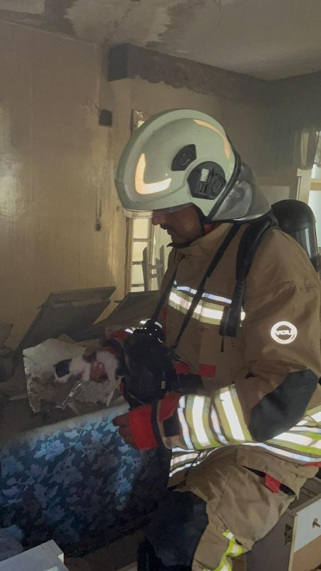 Alevlerin arasında mahsur kalan yavru kedileri miyavlamaları hayata tutundurdu