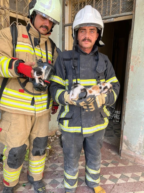 Alevlerin arasında mahsur kalan yavru kedileri miyavlamaları hayata tutundurdu