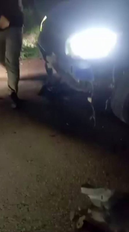 Otomobilin çarptığı 10 küçükbaş hayvan telef oldu