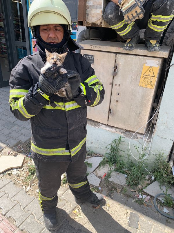 Duvar arasında mahsur kalan kedi, duvarın kırılmasıyla kurtarıldı