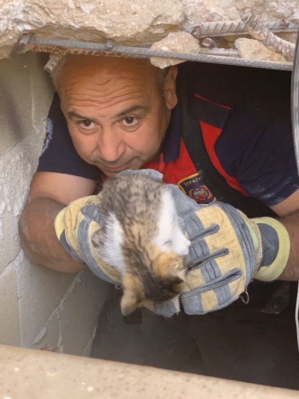 Duvar arasında mahsur kalan kedi, duvarın kırılmasıyla kurtarıldı