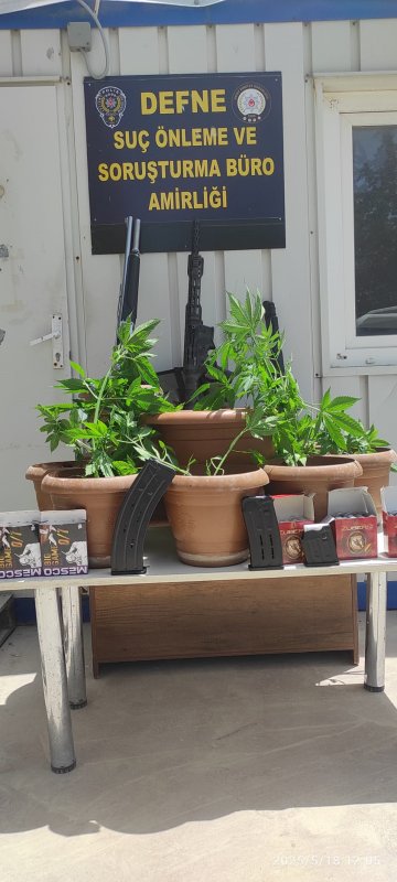 Defnede saksı içerisine ekili 19 kök Hint keneviri bitkisi ele geçirildi