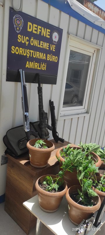 Defnede saksı içerisine ekili 19 kök Hint keneviri bitkisi ele geçirildi