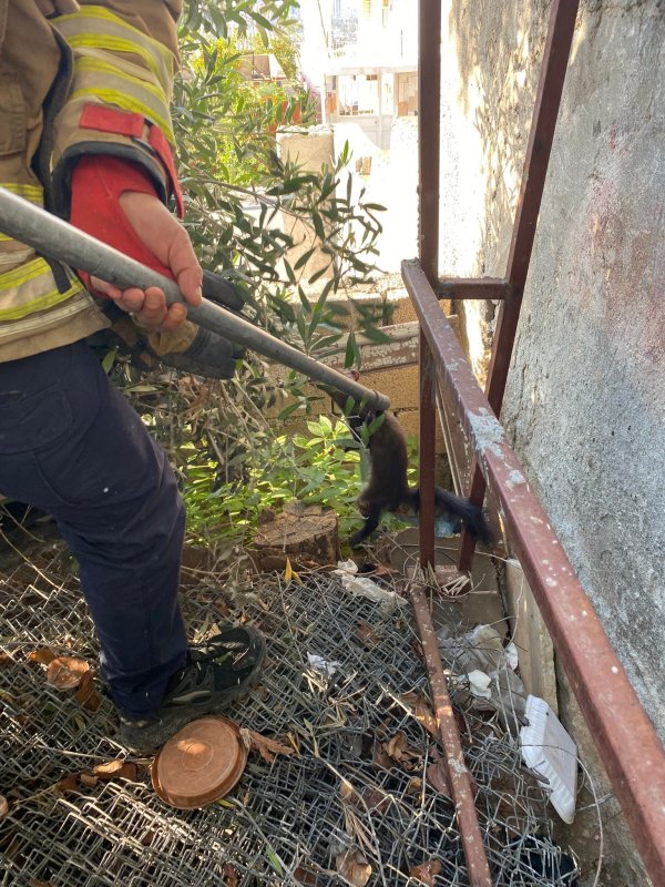 Ava giden sansar tellere takıldı