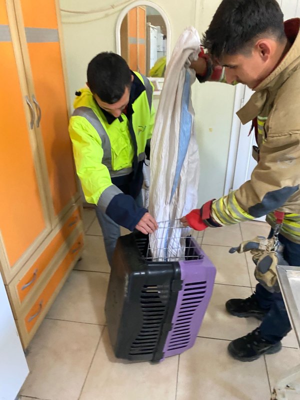 Ava giden sansar tellere takıldı