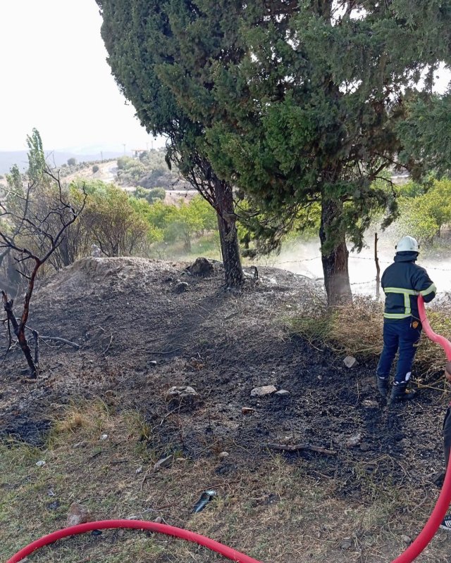 Alevlerin arasında kalan kaplumbağaya can suyu (Fotoğraflı) Mehmet İhsan Çakar HATAY (İHA) - Hatay'da çıkan yangında alevlerin arasında kalan kaplumbağanın imdadına itfaiye yetişti. Belen ilçesi Çakallı Mahallesi’nde bahçe yangını meydana geldi. İhbar üzerine bölgeye itfaiye ekipleri sevk edildi. Yangında alevlerin arasında kalan kaplumbağayı fark eden itfaiye ekipleri, hayvanı kurtardı. Sağlıklı bir şekilde kurtarılan kaplumbağa, serinletildikten sonra doğal yaşam alanına bırakıldı. Yangın kontrol altına alındı ve soğutma çalışması gerçekleştirildi.